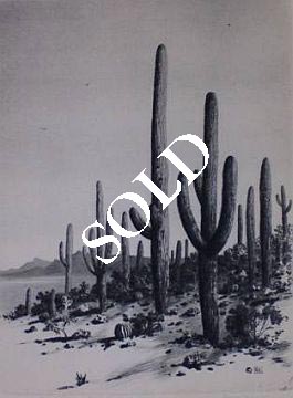 Print: "Giant Cactus" by George Elbert Burr